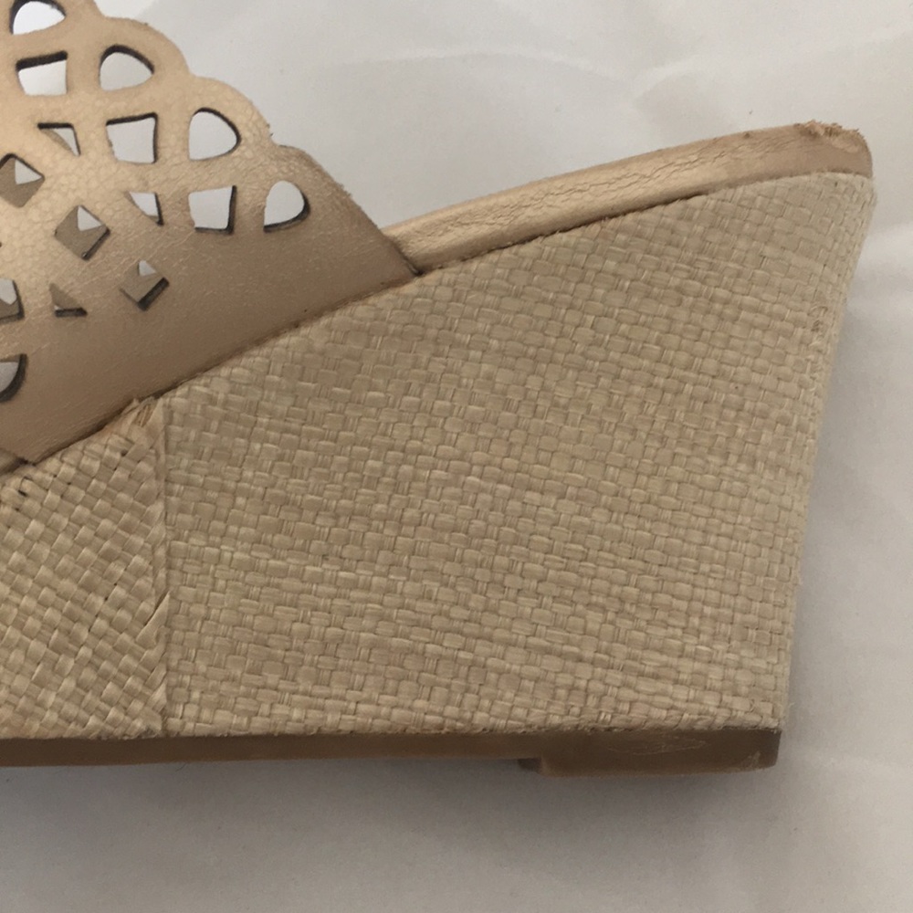Champagne cut out wedges - Picture 5 of 6